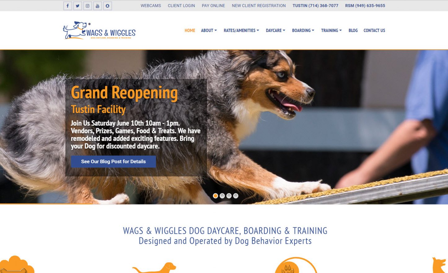  Design Wags & Wiggles Dog Daycare, Boarding & Training WDYW