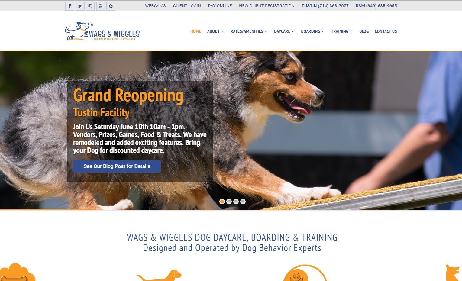 Pet Services Website Design - Wags & Wiggles Dog Daycare Tustin and Rancho Santa Margarita, California